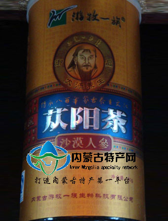 精選特級沙漠人參內蒙古阿拉善野生肉蓯蓉 大蕓切片 肉蓯蓉茶罐裝