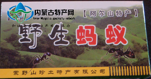 內蒙古 大興安嶺 山珍格格 阿爾山特產 野生 螞蟻 3斤包郵