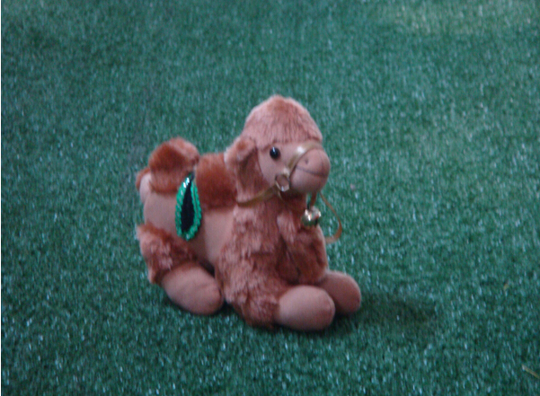 內蒙古駱駝 模型擺設毛絨玩具玩偶早教純手工制品站駱駝兒童玩具