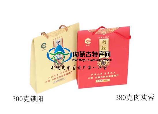 阿拉善肉蓯蓉沙漠人參泡酒藥材滋補湯料禮品油蓯蓉可配鎖陽